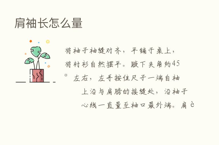 肩袖长怎么量