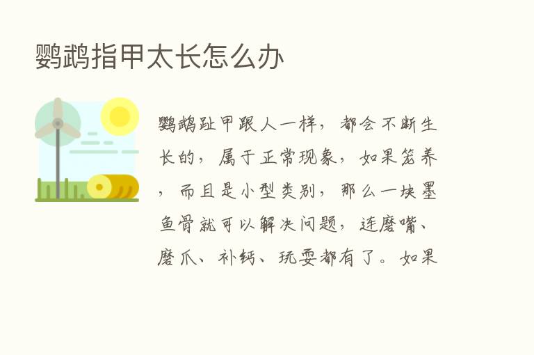 鹦鹉指甲太长怎么办