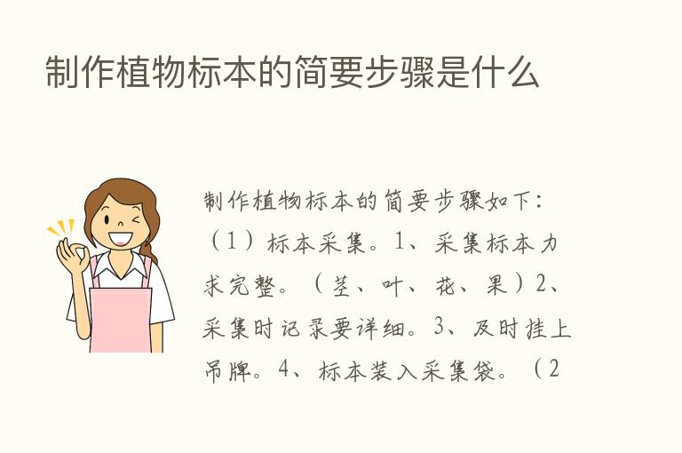 制作植物标本的简要步骤是什么