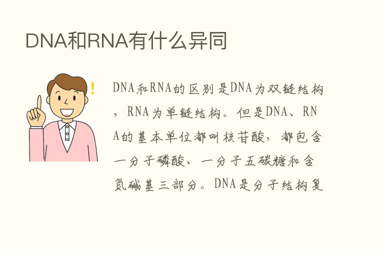 DNA和RNA有什么异同