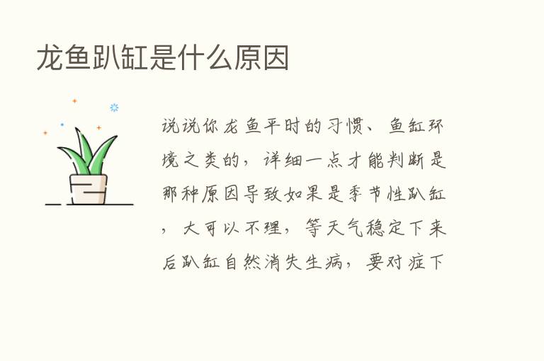 龙鱼趴缸是什么原因