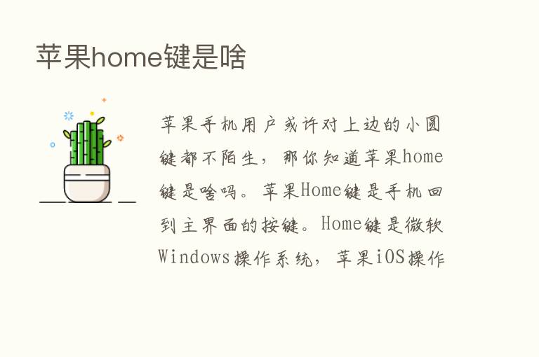 苹果home键是啥