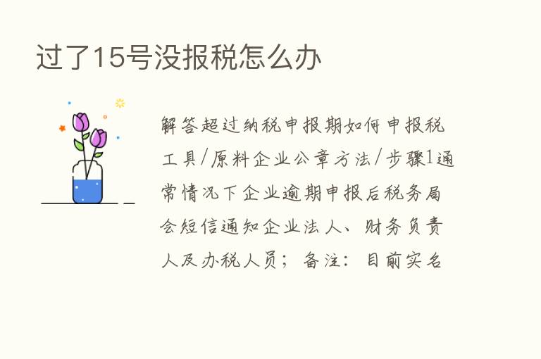 过了15号没报税怎么办