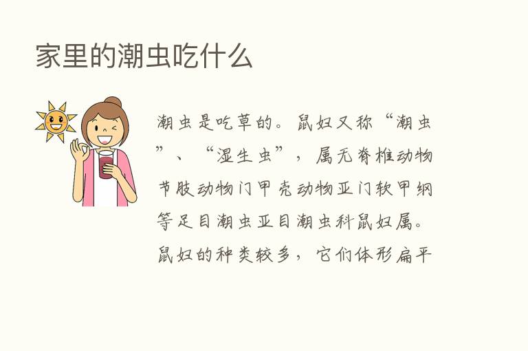 家里的潮虫吃什么