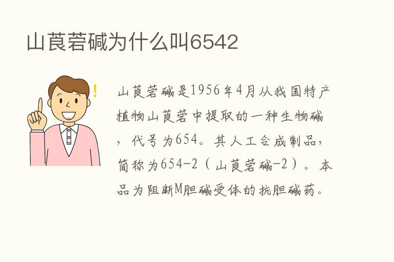 山莨菪碱为什么叫6542