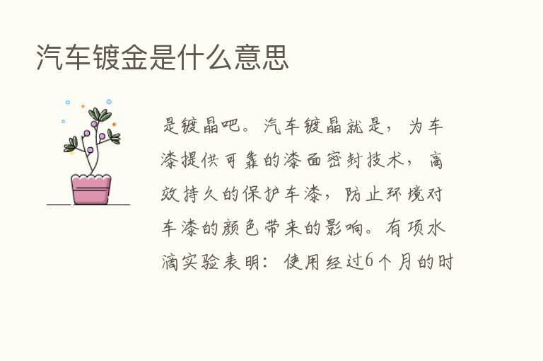 汽车镀金是什么意思