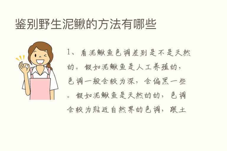 鉴别野生泥鳅的方法有哪些