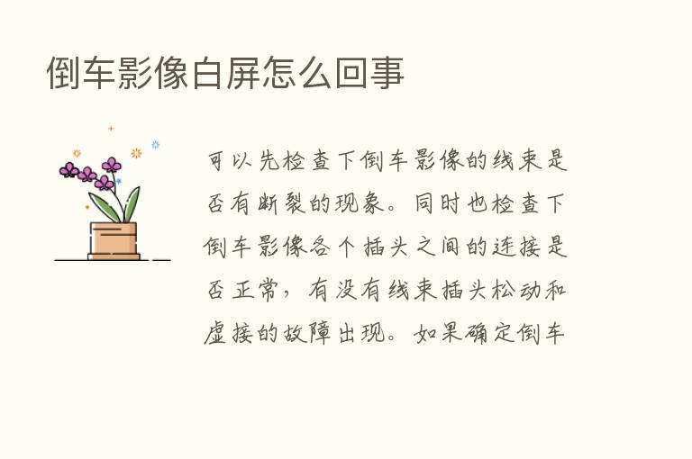 倒车影像白屏怎么回事