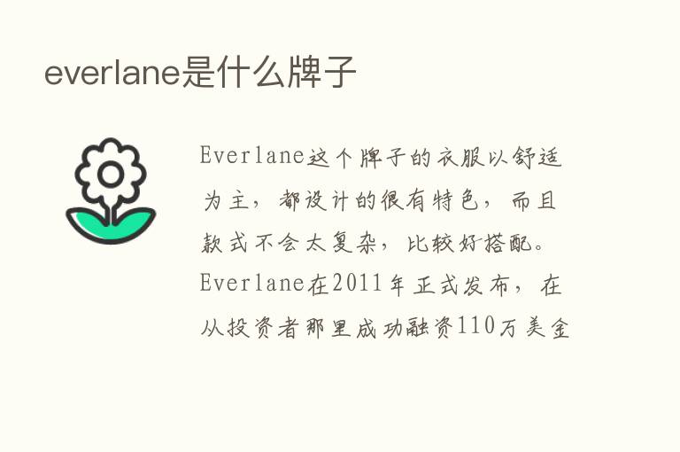 everlane是什么牌子