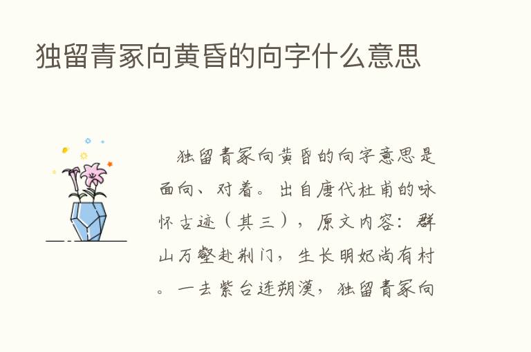 独留青冢向黄昏的向字什么意思