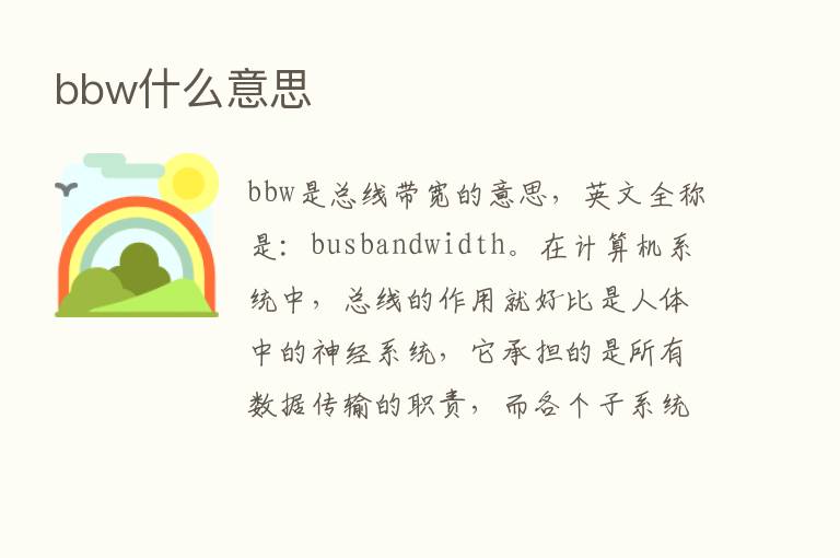 bbw什么意思