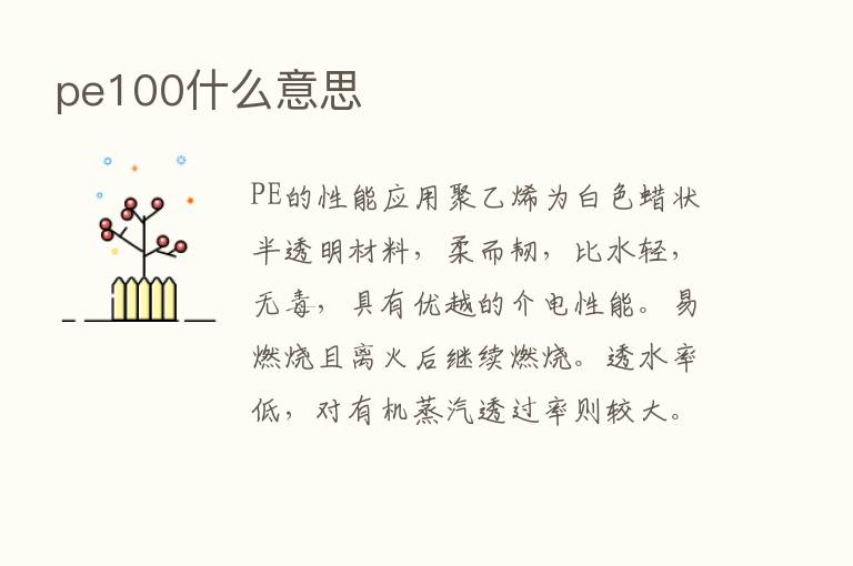 pe100什么意思