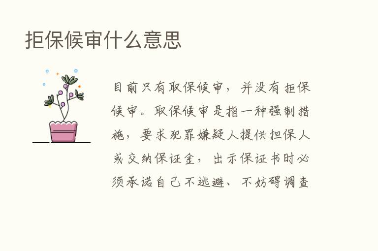 拒保候审什么意思