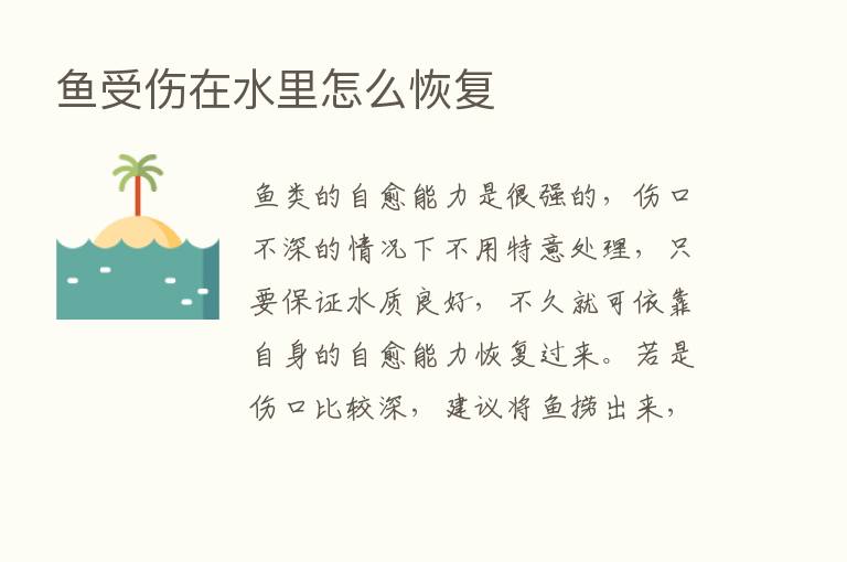 鱼受伤在水里怎么恢复