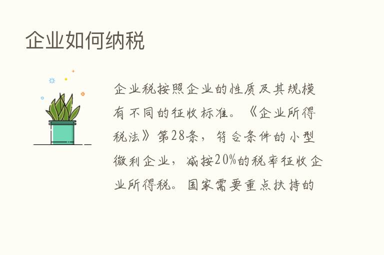 企业如何纳税