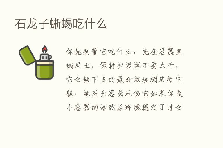 石龙子蜥蜴吃什么