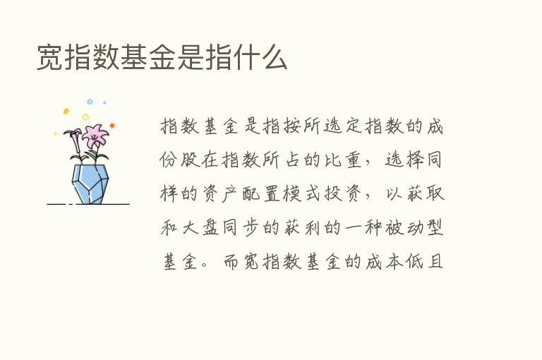 宽指数基金是指什么