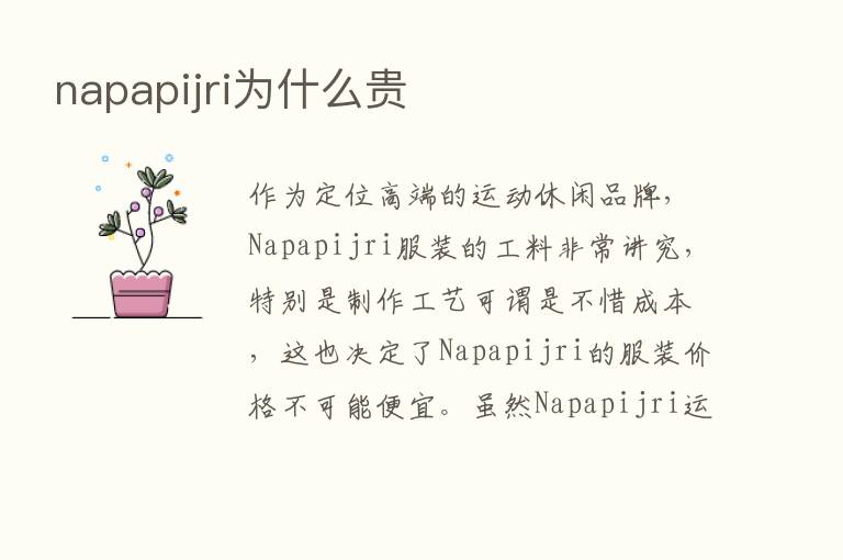 napapijri为什么贵