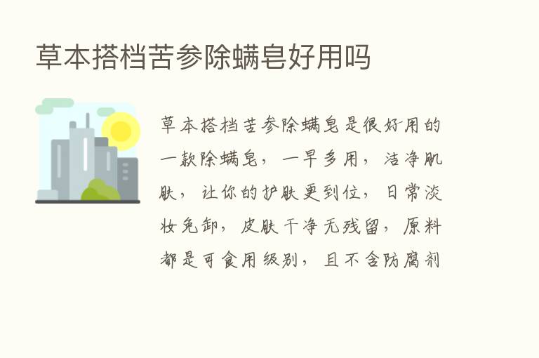 草本搭档苦参除螨皂好用吗