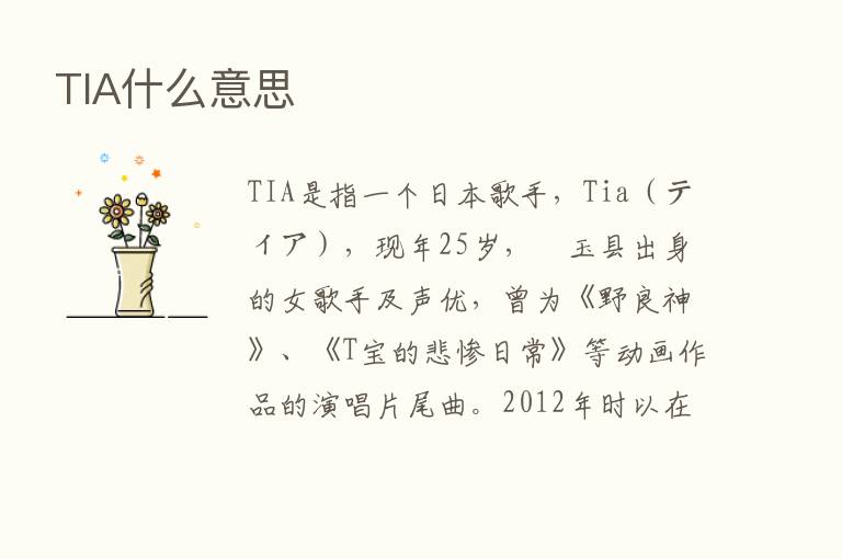 TIA什么意思