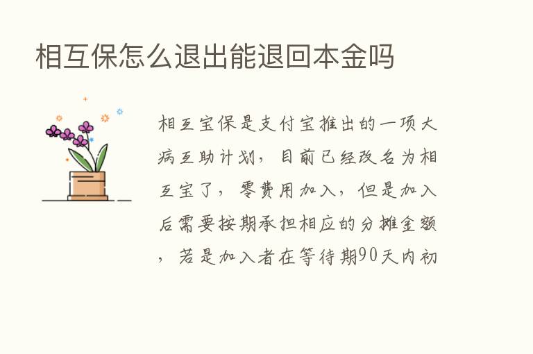 相互保怎么退出能退回本金吗