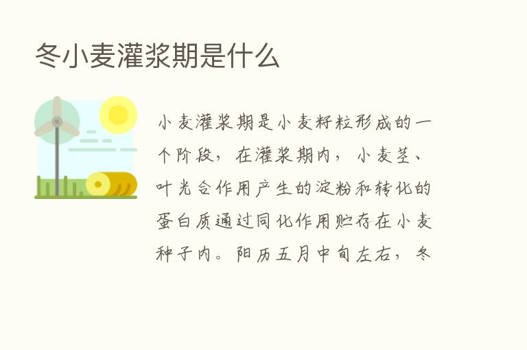 冬小麦灌浆期是什么