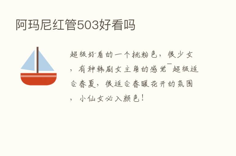 阿玛尼红管503好看吗