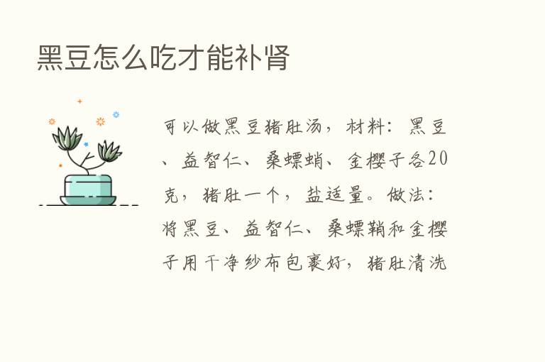 黑豆怎么吃才能补肾