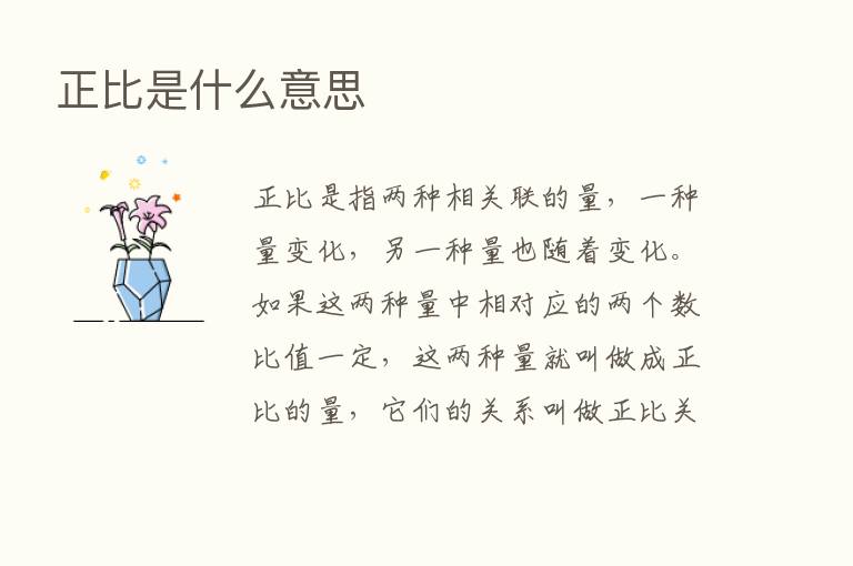 正比是什么意思