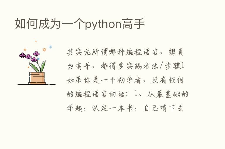 如何成为一个python高手