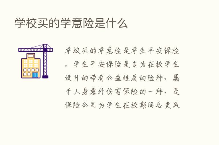 学校买的学意险是什么