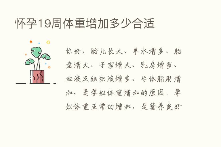 怀孕19周体重增加多少合适