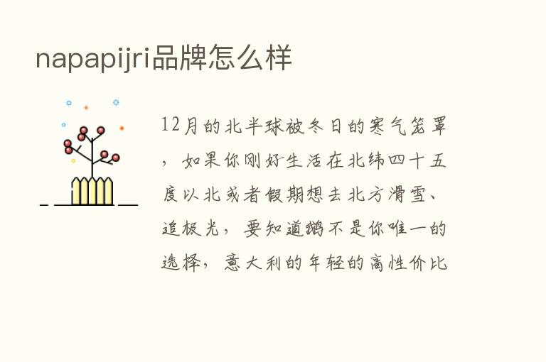 napapijri品牌怎么样