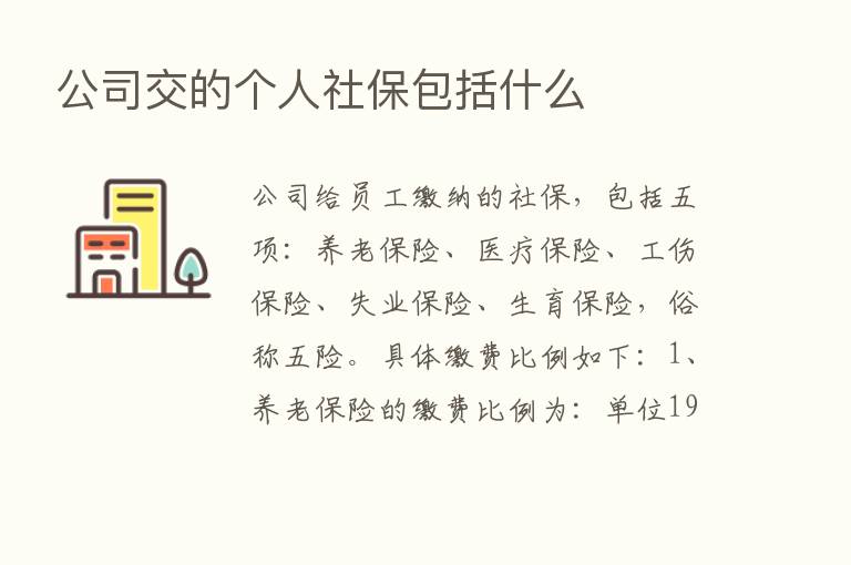 公司交的个人社保包括什么