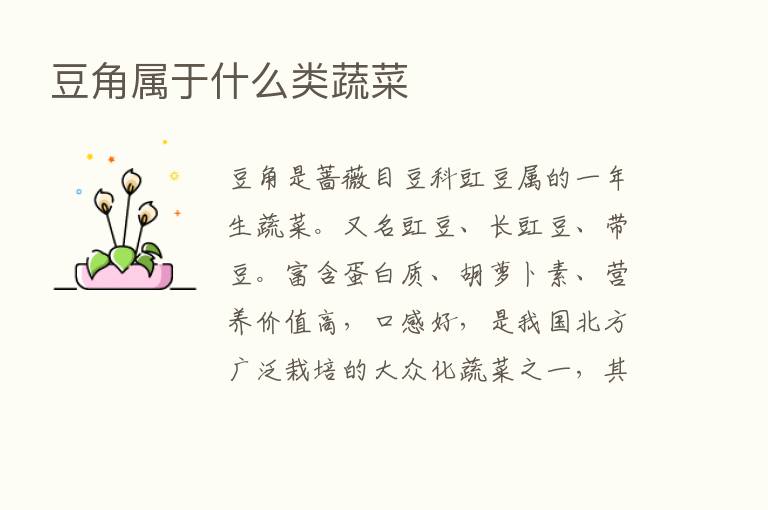 豆角属于什么类蔬菜