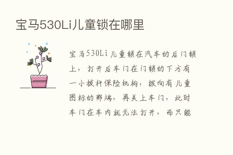 宝马530Li儿童锁在哪里