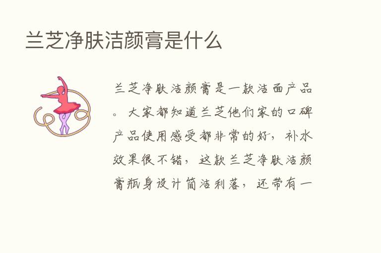 兰芝净肤洁颜膏是什么