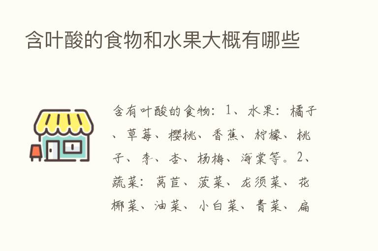 含叶酸的食物和水果大概有哪些