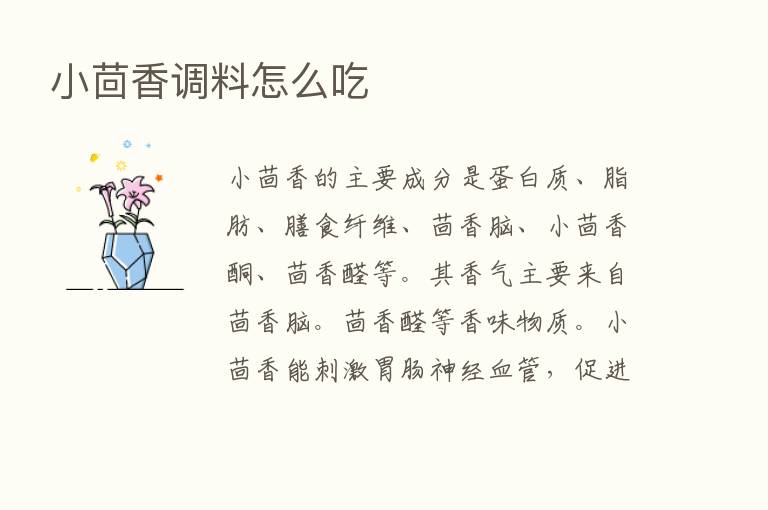 小茴香调料怎么吃