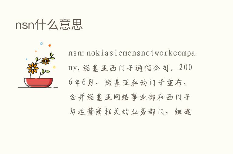 nsn什么意思