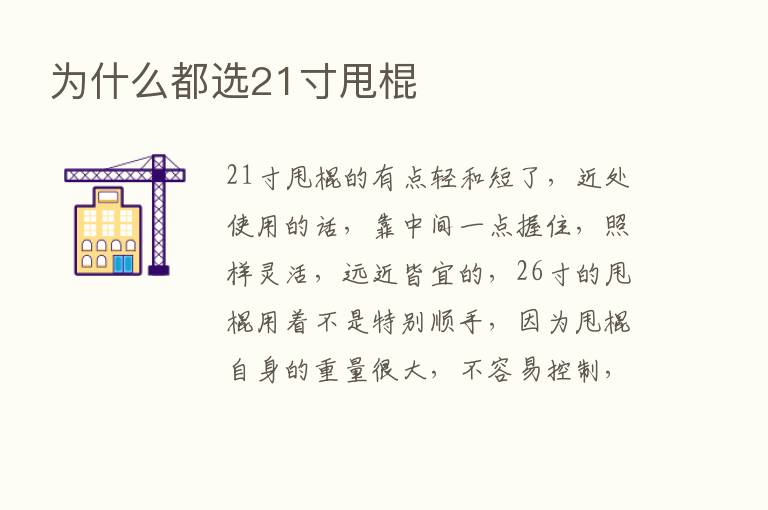 为什么都选21寸甩棍