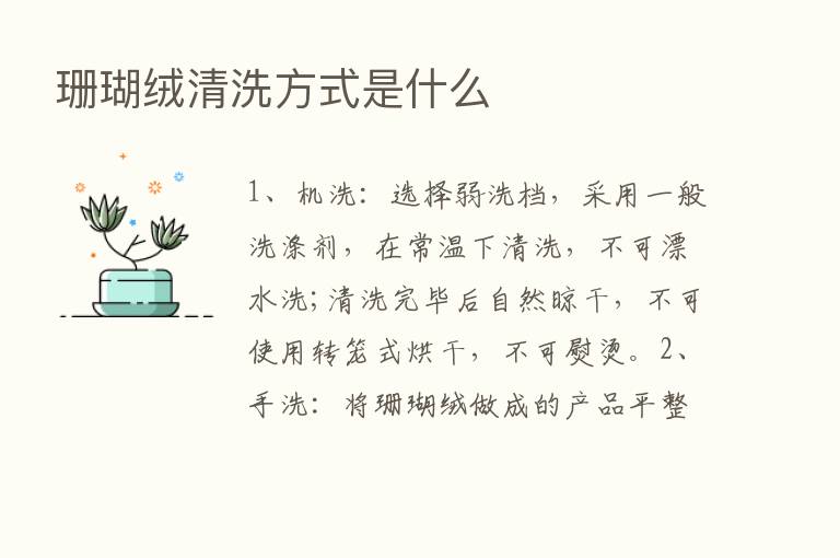 珊瑚绒清洗方式是什么