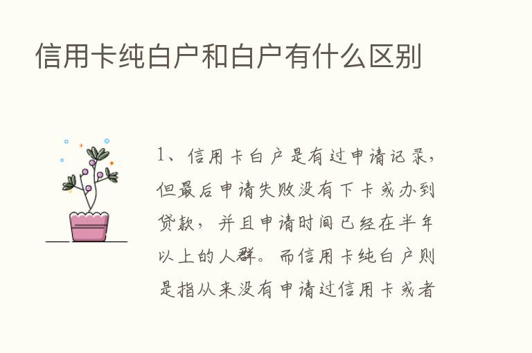 信用卡纯白户和白户有什么区别