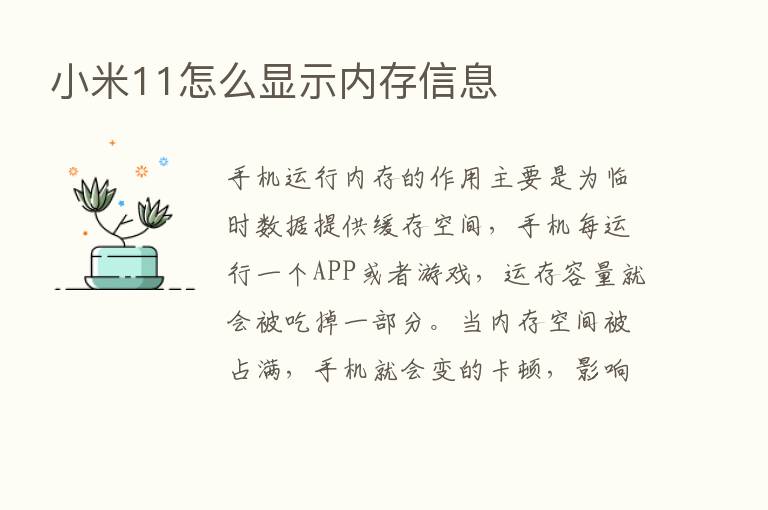 小米11怎么显示内存信息