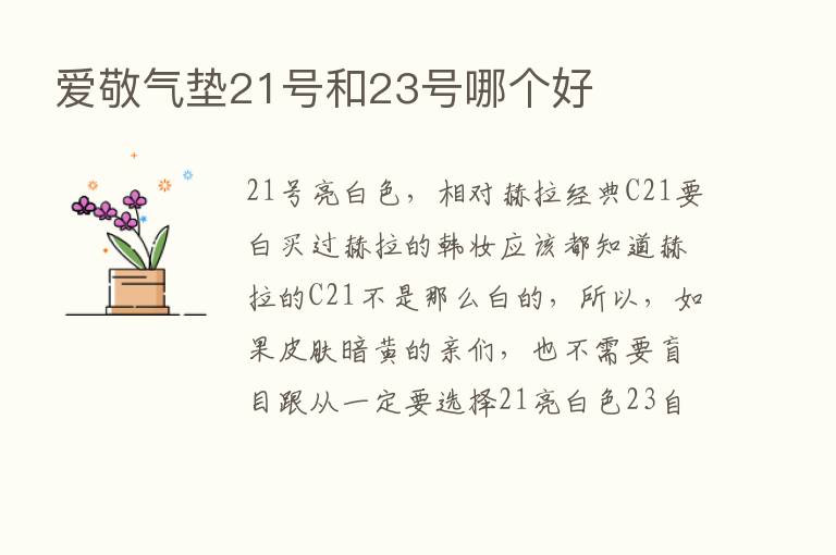 爱敬气垫21号和23号哪个好