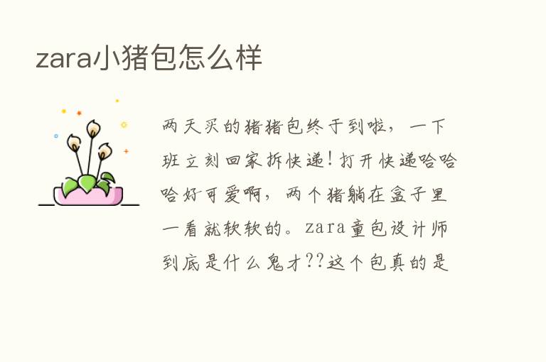 zara小猪包怎么样