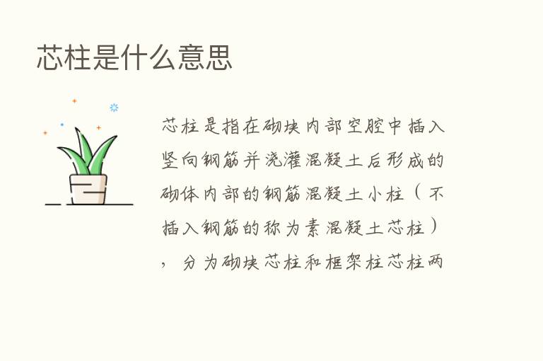 芯柱是什么意思