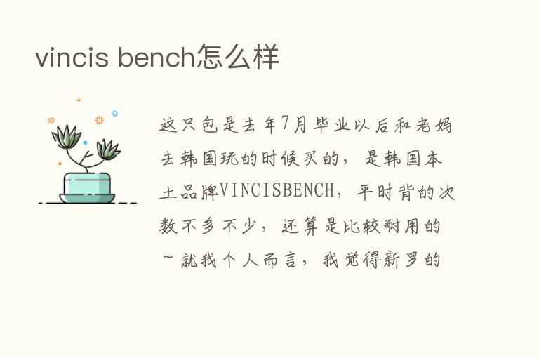 vincis bench怎么样