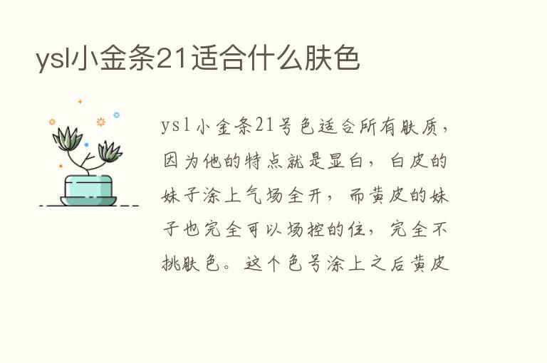 ysl小金条21适合什么肤色