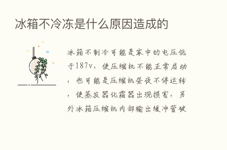 冰箱不冷冻是什么原因造成的